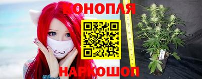 спайс Можга