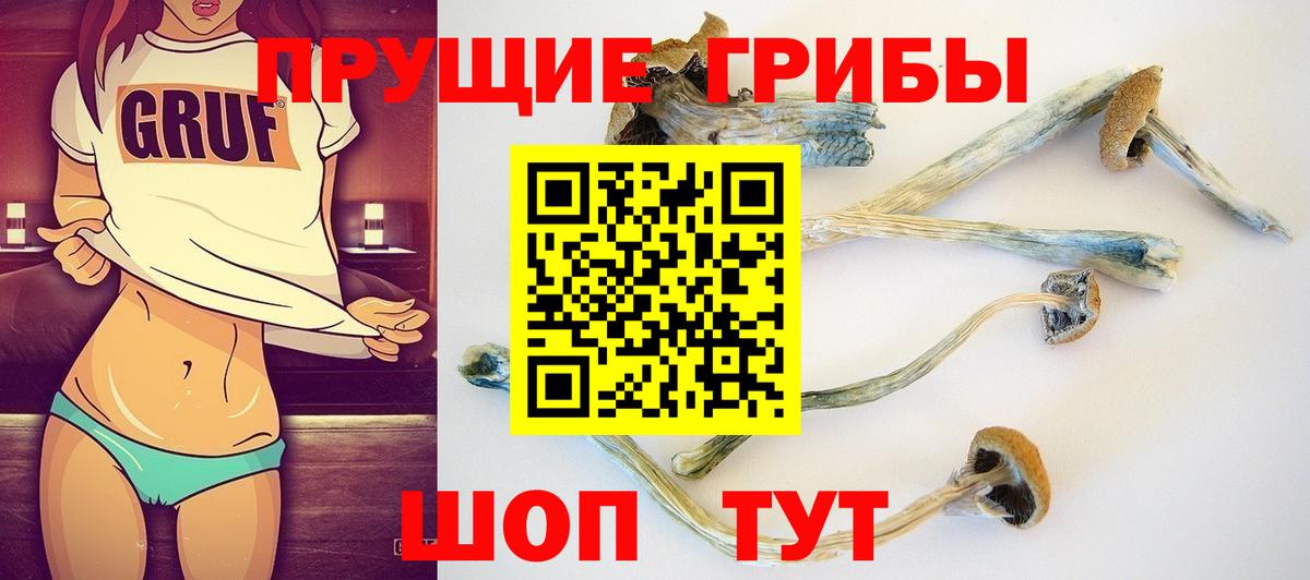Ступино  Псилоцибиновые грибы Cubensis  Вход с VPN 
